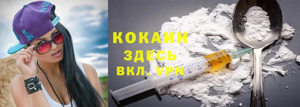 стаф Аркадак