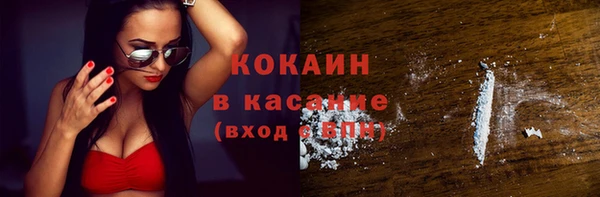 индика Рославль
