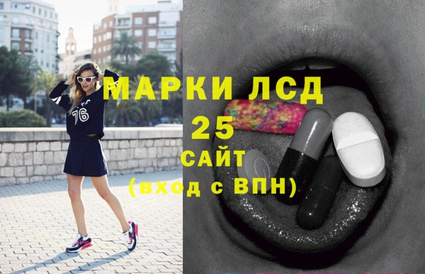 стаф Аркадак