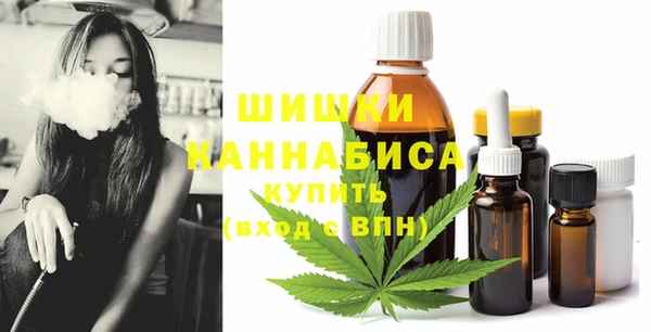 стаф Аркадак