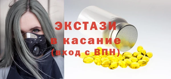 стаф Аркадак