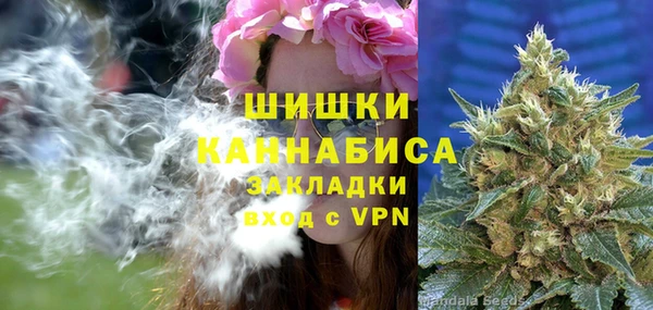 стаф Аркадак