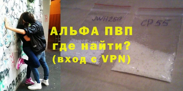 стаф Аркадак
