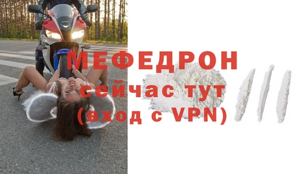 стаф Аркадак